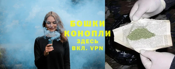 ГАЛЛЮЦИНОГЕННЫЕ ГРИБЫ Белоозёрский