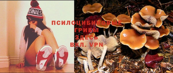 spice Баксан
