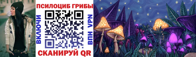 Псилоцибиновые грибы мухоморы Бор