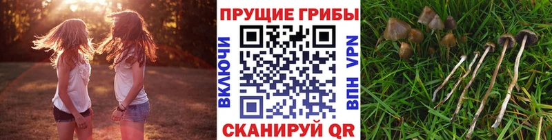 Галлюциногенные грибы MAGIC MUSHROOMS  mega ССЫЛКА  Бор  наркошоп 