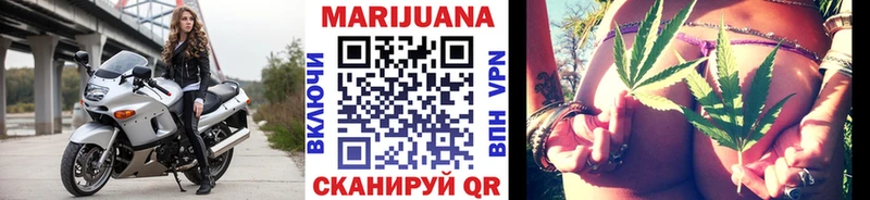 Конопля сатива Бор